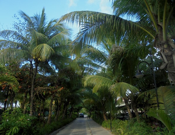 Mahé - Eden Island
