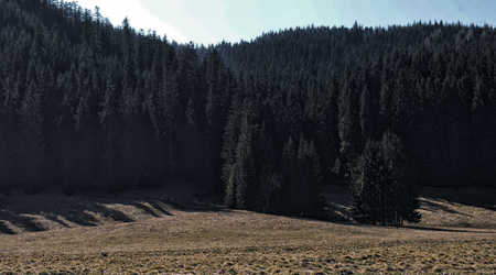 Dolina chocholowska 1 1 – Dolina Chochołowska, Polska