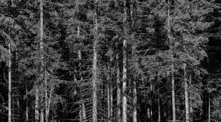 Dolina chocholowska 3 2 – Dolina Chochołowska, Polska
