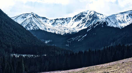 Dolina chocholowska 16 1 – Dolina Chochołowska, Polska