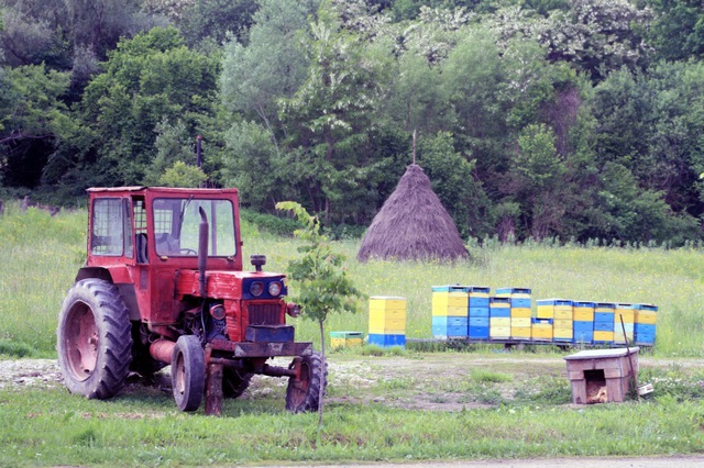 25791229 - Săpânta
