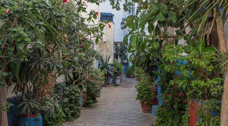 Uliczka – Asilah, Maroko