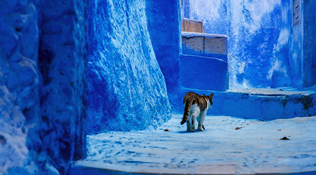 W medynie – Chefchaouen, Maroko