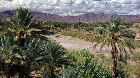 W drodze – Agdz, Maroko