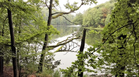 Jezioro Komorze – Czaplinek, Polska