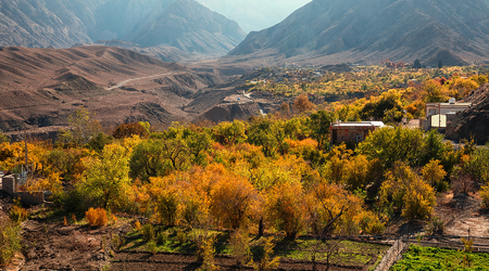 Oaza – Ţabas, Iran