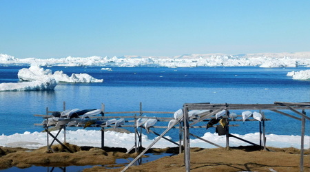 Ilulissat – Dania