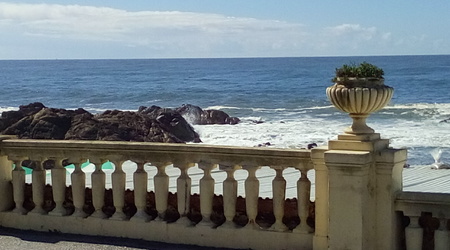 25799772 - Porto – Portugalia